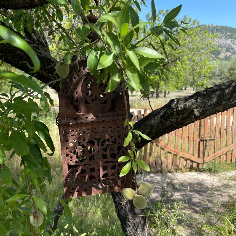 Villa Can Guillo Pollensa - Villa con piscina privada - 41