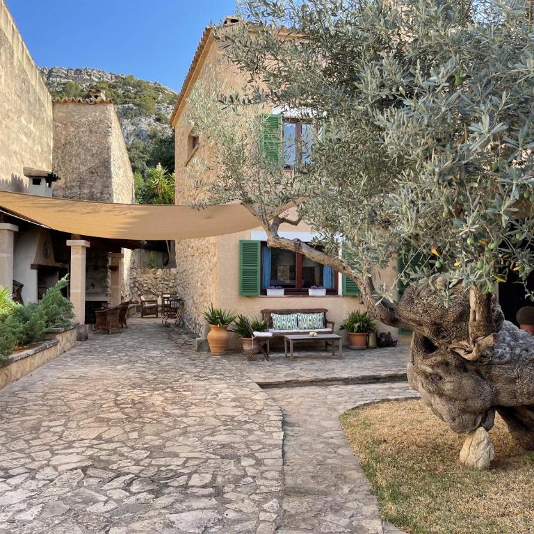 Villa Can Guillo Pollensa - Villa con piscina privada - 52