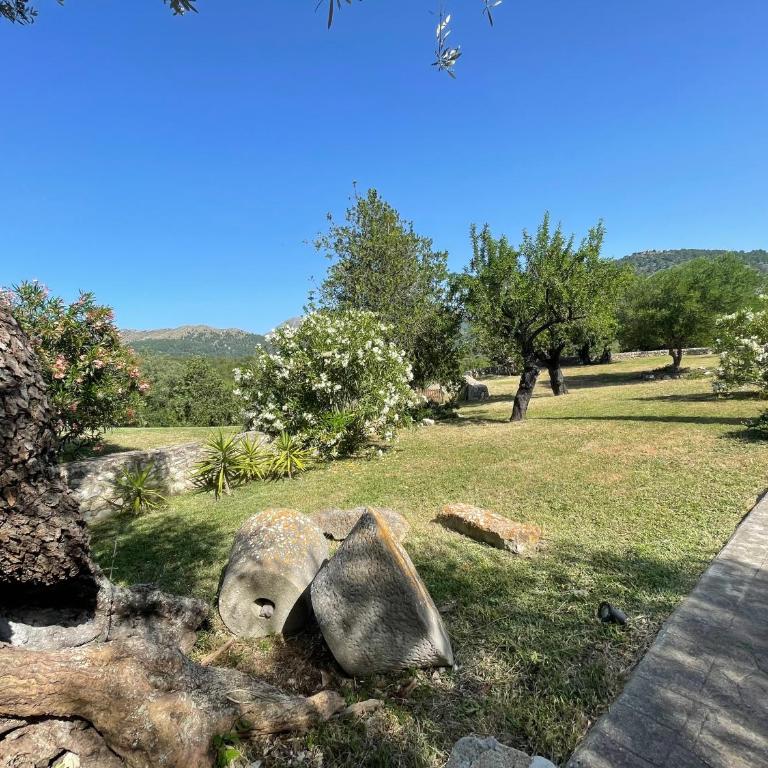 Villa Can Guillo Pollensa - Villa con piscina privada - 54