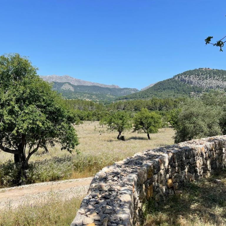 Villa Can Guillo Pollensa - Villa con piscina privada - 56