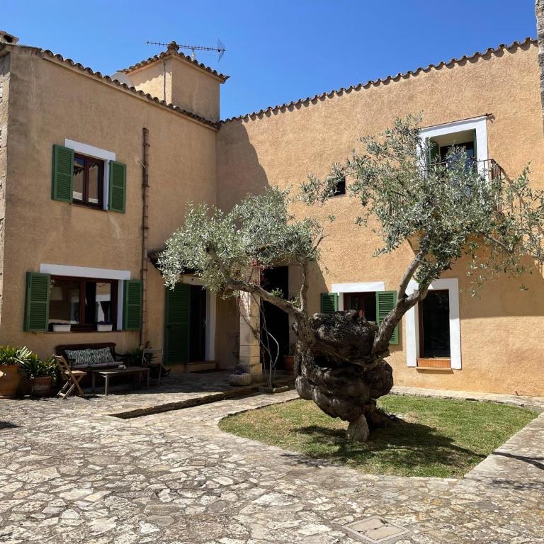 Villa Can Guillo Pollensa - Villa con piscina privada - 6