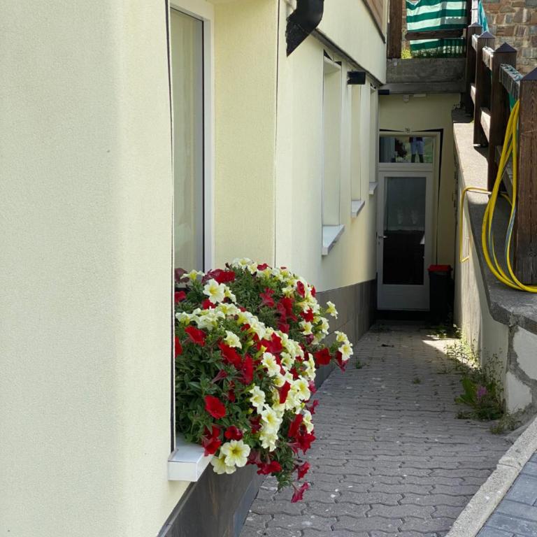 Villa Claudia - Standard Two-Bedroom Apartment - Basement - 6