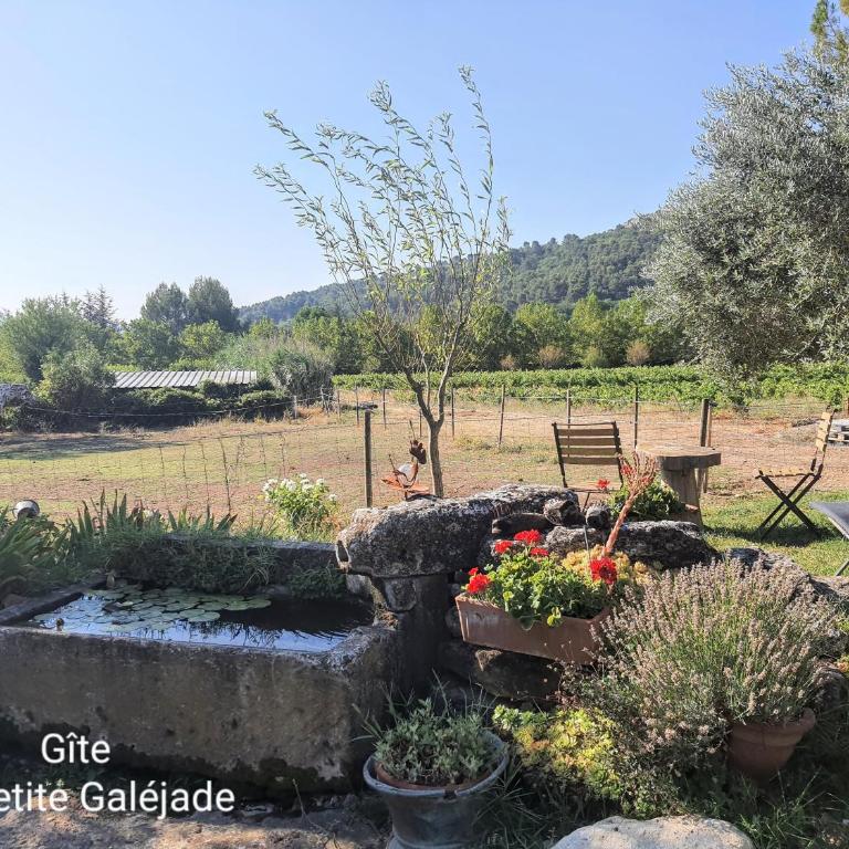 La petite Galéjade - Cottage - 22