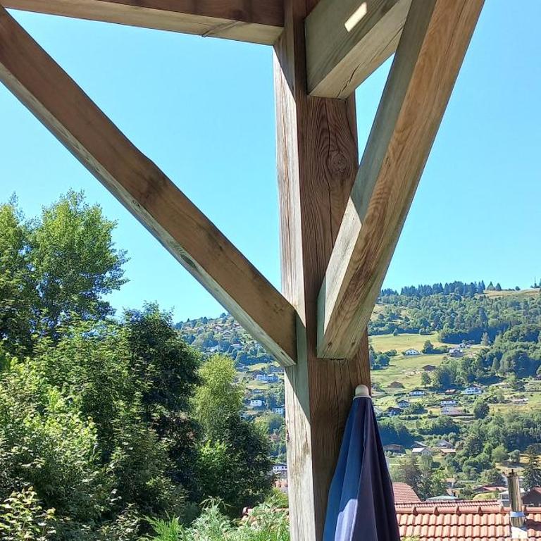 Hameau des chaumes vue panoramique - Apartamento de 1 dormitorio - 45