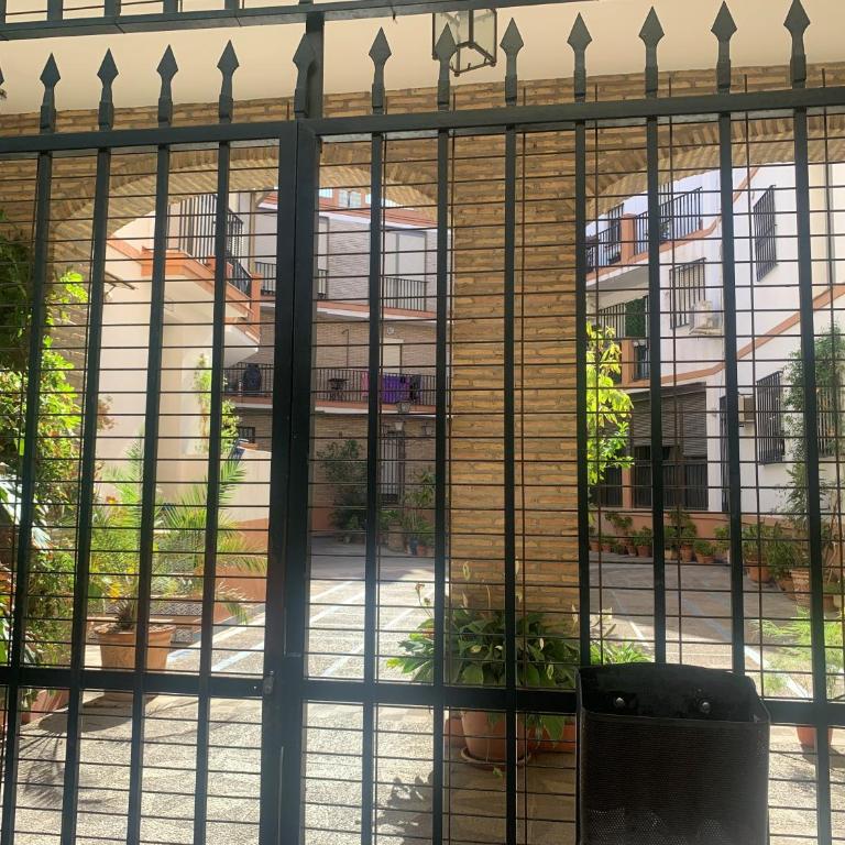 LUCIA DE TRIANA - Apartamento de 3 dormitorios - 19