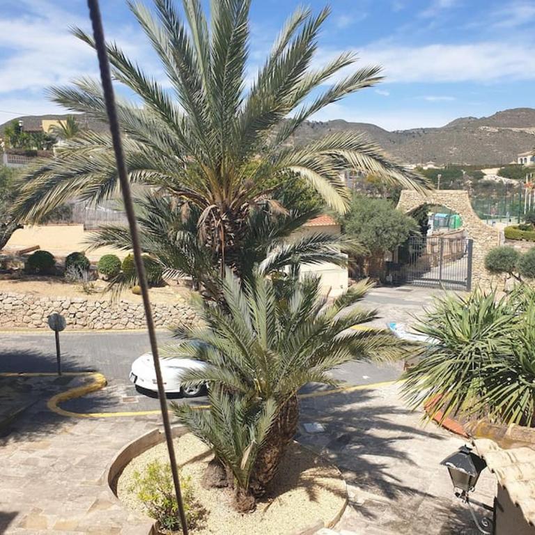 El Marinero - 1st line semi-detached 4-bedroom villa - sea view - Casa con 4 camere da letto - 48