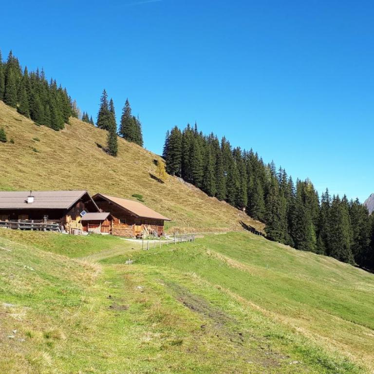 Vorderkaseralm - Ferienhaus - 1