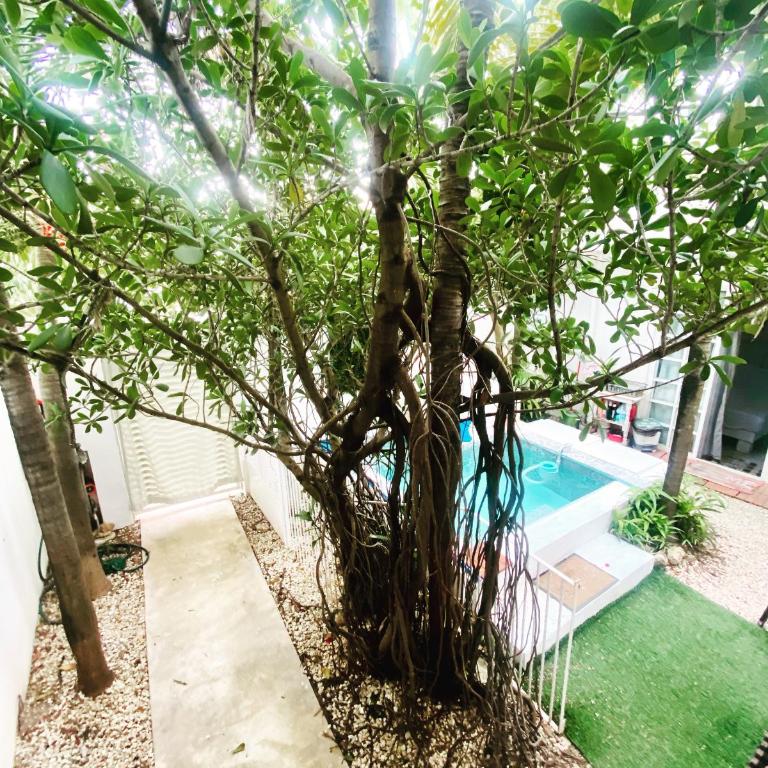 Cozy espacious welcoming apartment PET FRIENDLY - Two-Bedroom Apartment - 22
