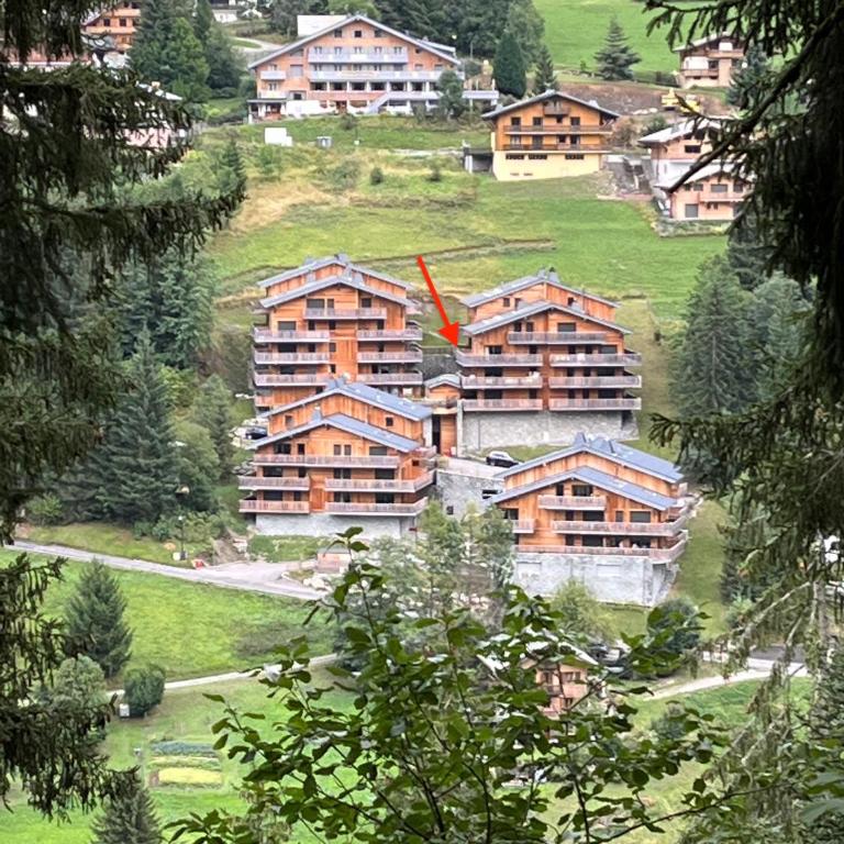 Châtel - Appartement 4-6 personnes - Les Châlets des Freinets C203 - Appartement 1 Chambre - 10