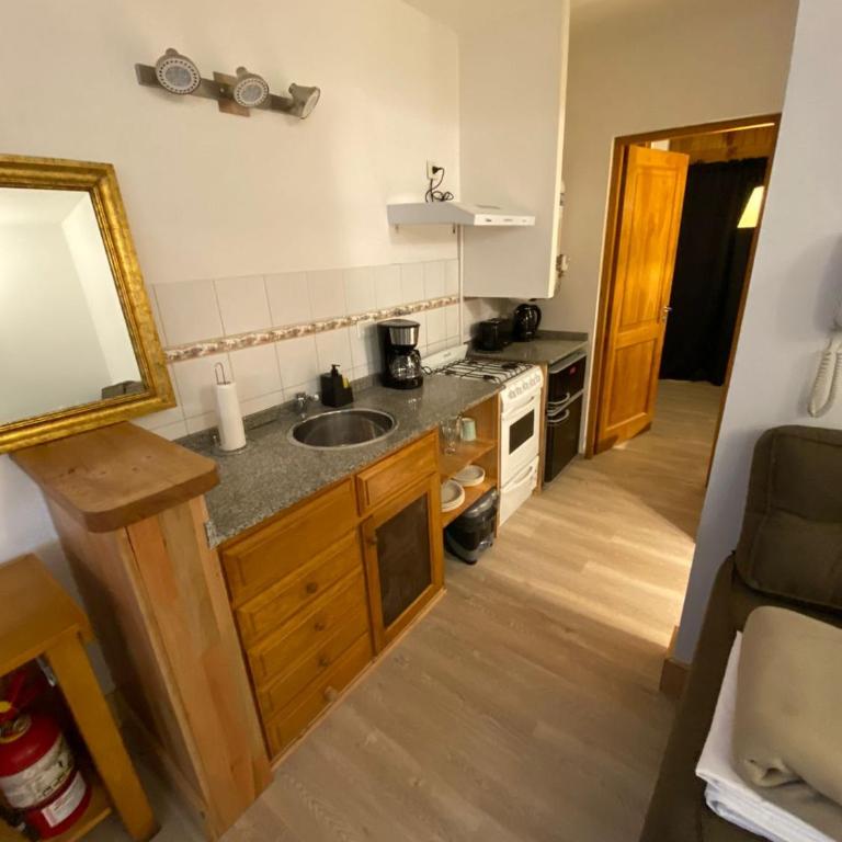 Departamento céntrico hasta 4 personas - Apartamento de 1 dormitorio - 5