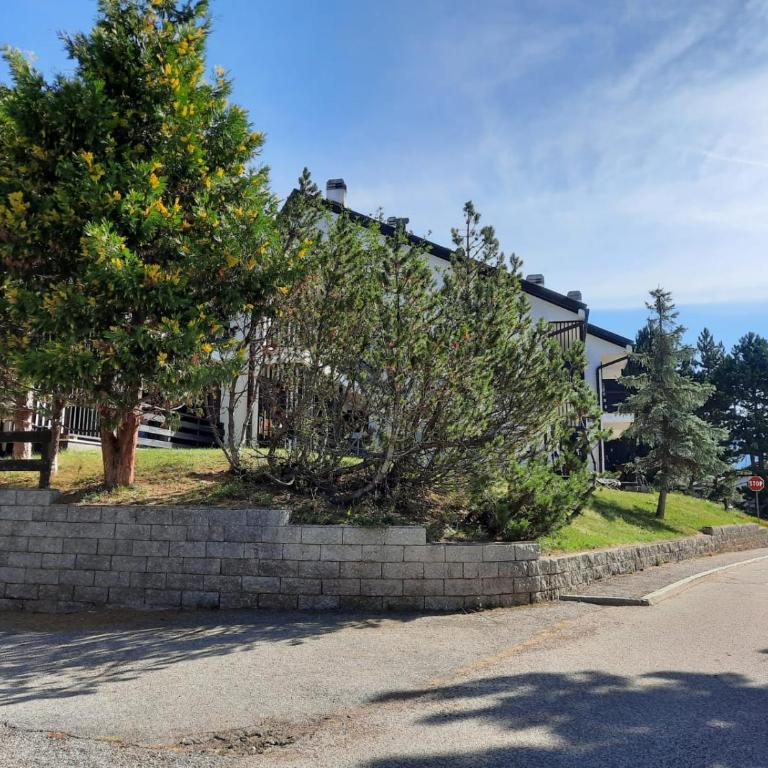 Finestra sul Cermis - Appartamento con 2 Camere da Letto - 16