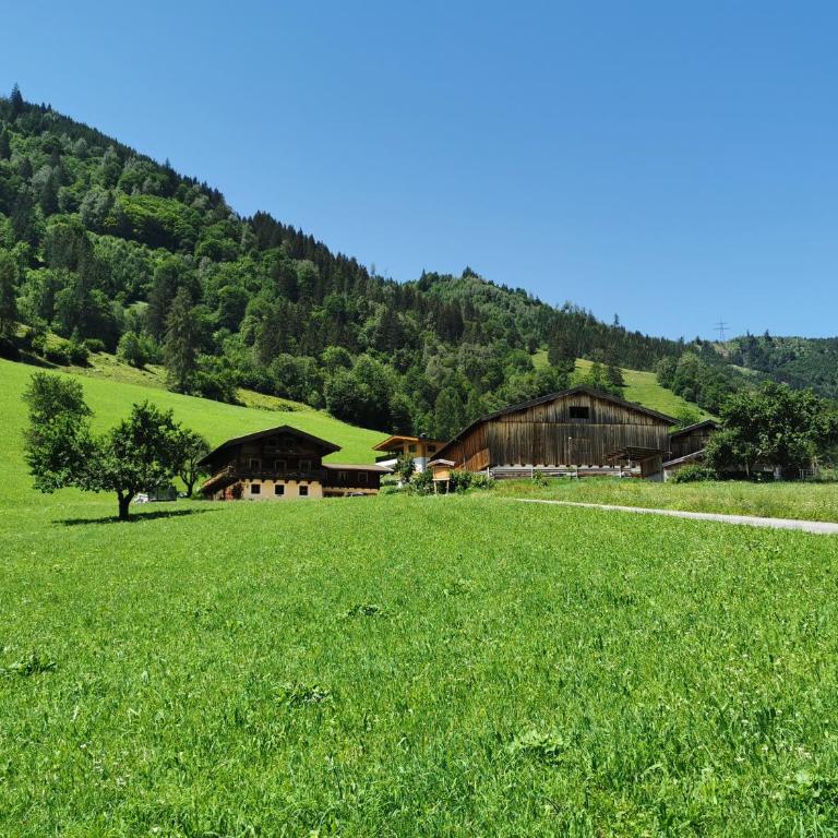 Entfeldhof - Familie Schernthaner - Apartment mit 3 Schlafzimmern und Balkon - 2