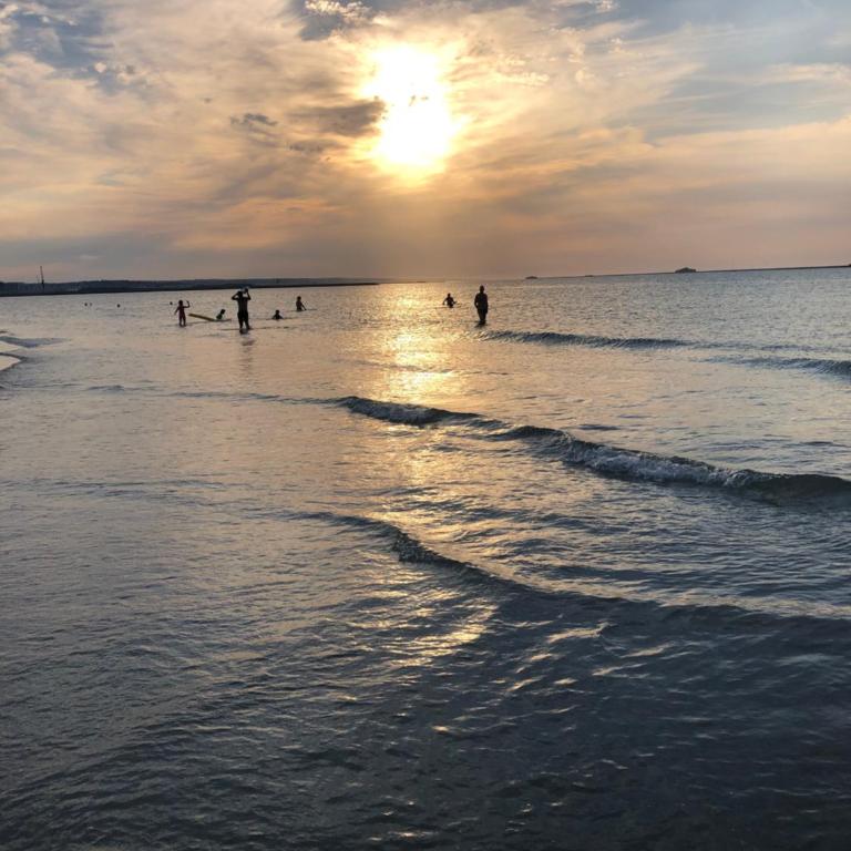 Les Dunes de Cabourg 100m plage - Apartamento de 1 dormitorio - 16