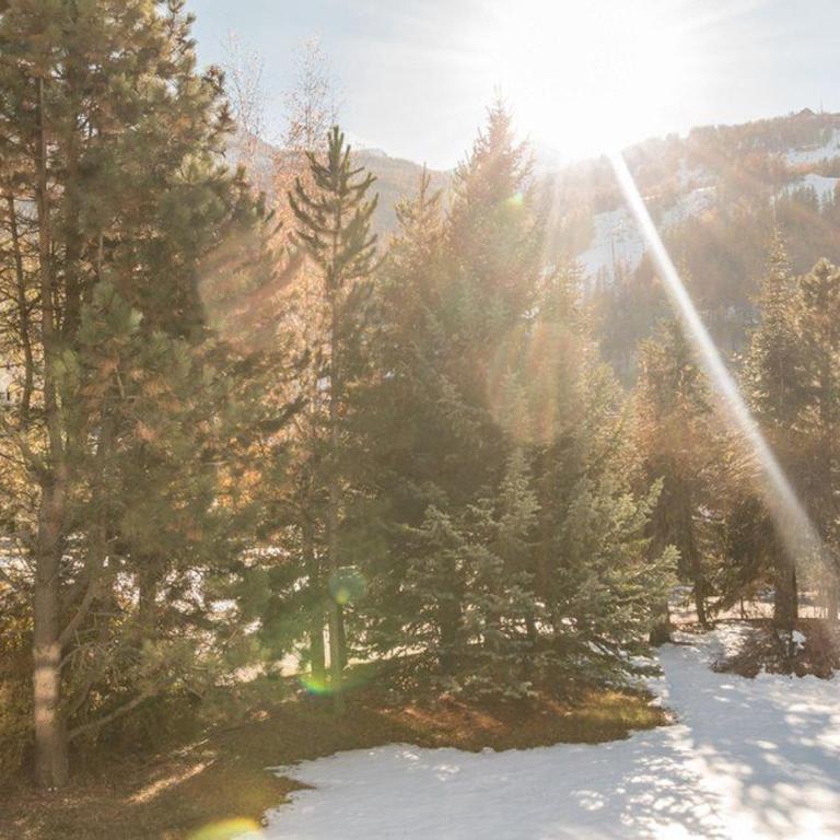 Studio 4 pers. à Serre-Chevalier avec balcon, parking, animaux admis - Appartement 1 Chambre - 13