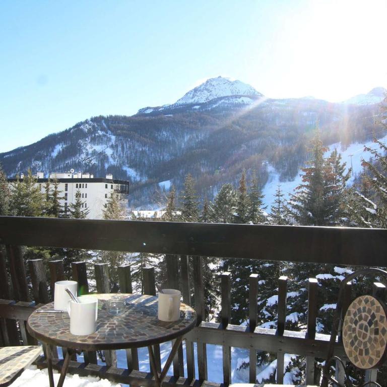 Studio cosy à Serre-Chevalier - 4 pers, balcon, proche commerces, casier à ski - FR-1-330E-61 - Appartement (4 Adultes) - 2