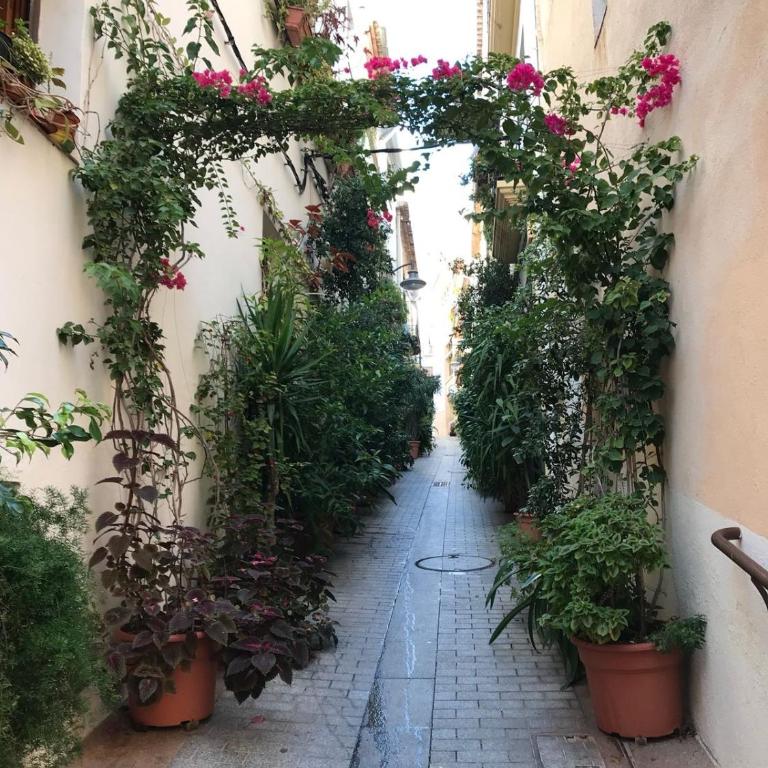 Cute pueblo house in heart of Javea old town - Casa Unifamiliar de 2 dormitorios - 46