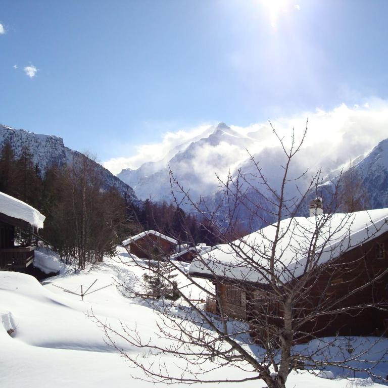 Chalet Valerie - Apartment with Mountain View - 12