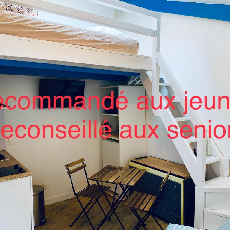 ECO STUDIOS mezzanine wifi stationnement rue gratuit terrasse dans jardin - Maison de Vacances - 8