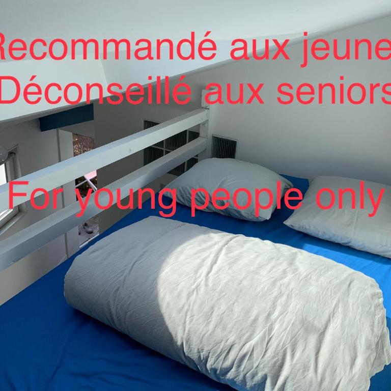 ECO STUDIOS mezzanine wifi stationnement rue gratuit terrasse dans jardin - Maison de Vacances - 7