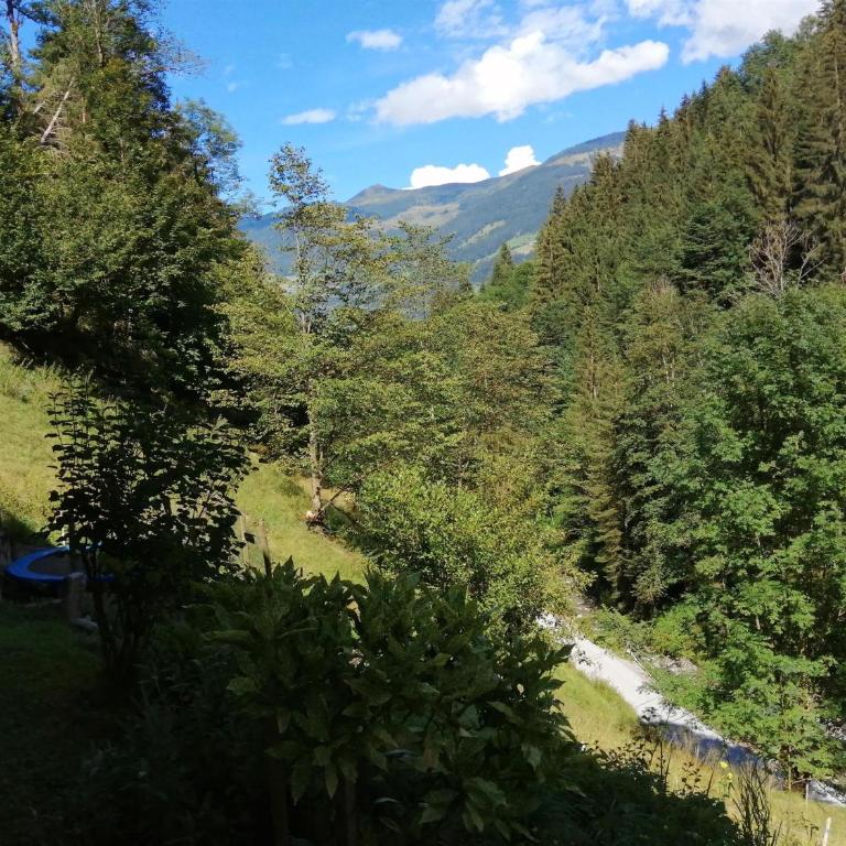 Ferienwohnung in abgelegener Ski- und Wanderhütte - Apartment mit 3 Schlafzimmern und Dusche - 6