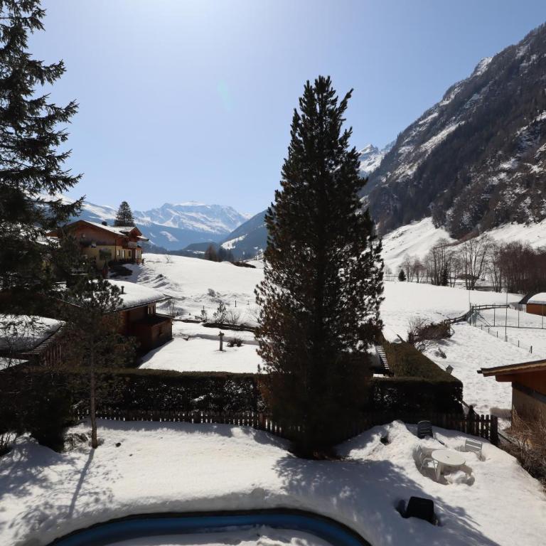 Bergmoment - Apartment - 31