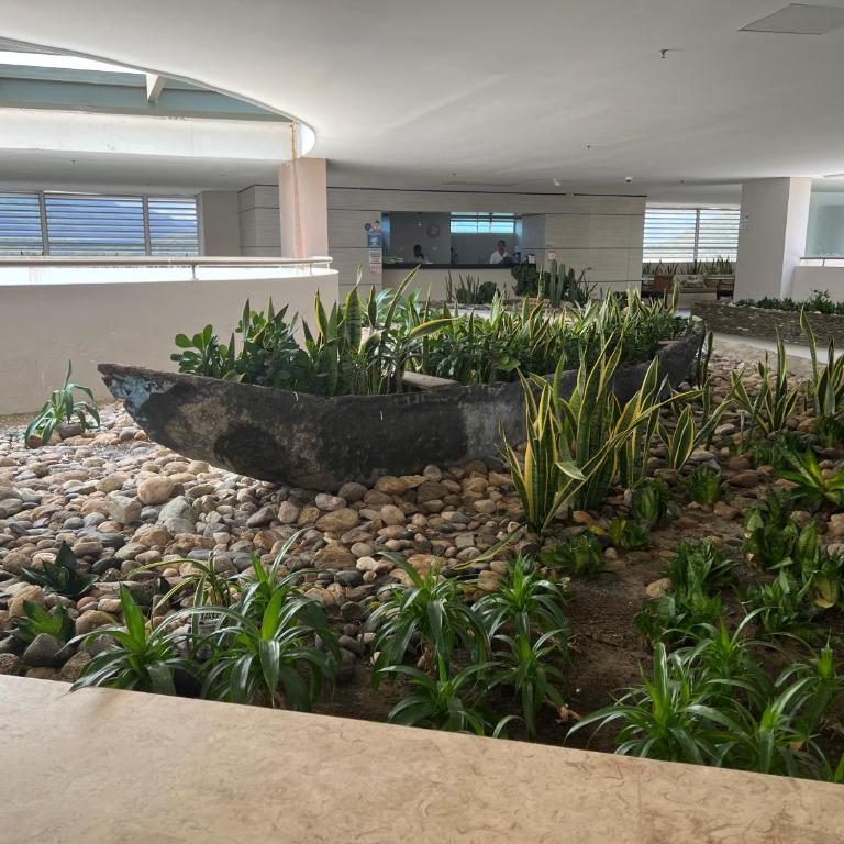 Reserva del Mar 810 - Two-Bedroom Apartment - 3