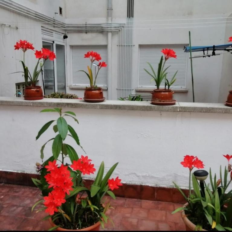 Colores - Apartamento de 2 dormitorios - 4