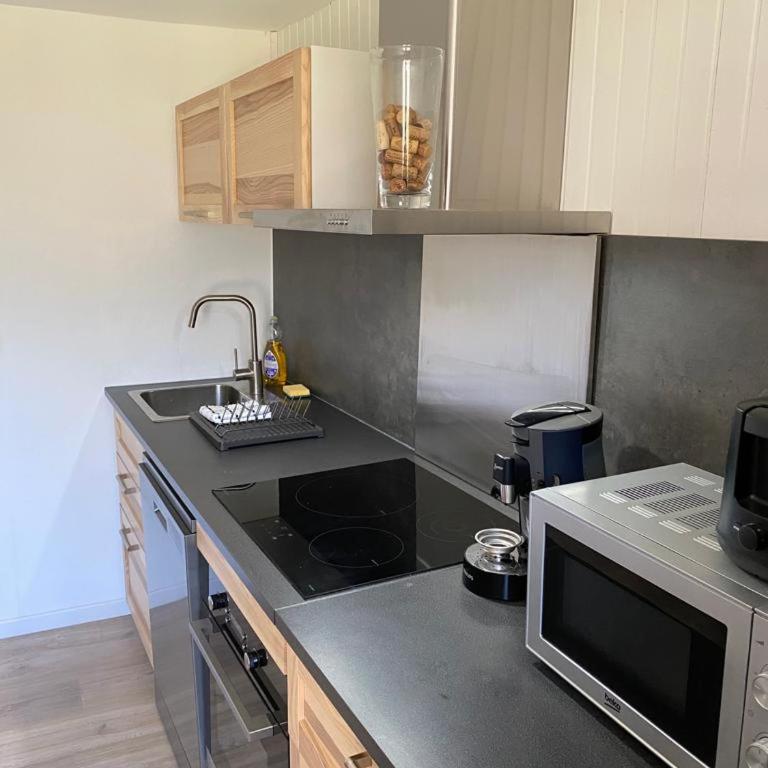 Logement Pays des Écrins - Appartement 1 Chambre - 14