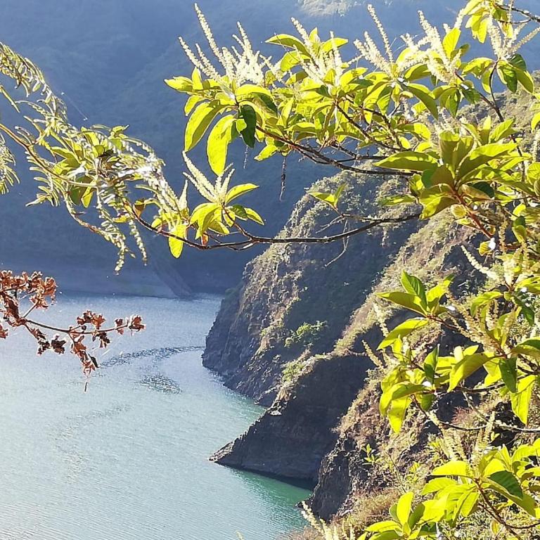 Glamping Mirador del Guavio - Bungalow - 17