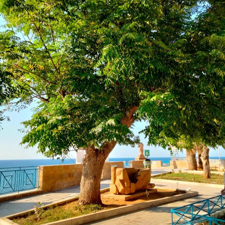 Finestra sul Mare di Alessandro - Appartamento con Vista Mare - 1 - 35