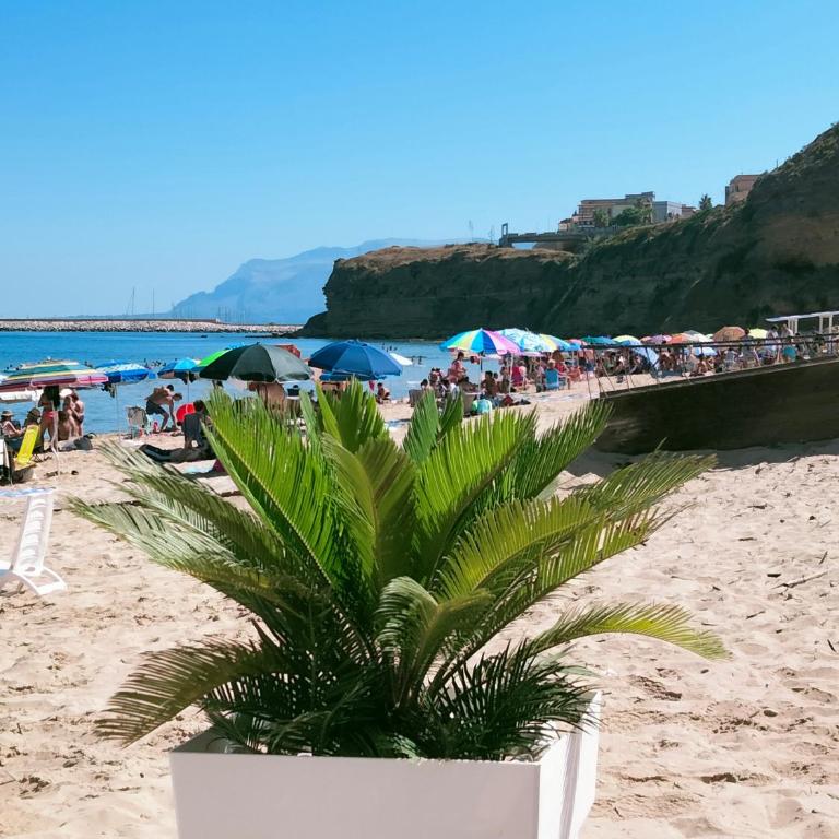 Finestra sul Mare di Alessandro - Appartamento con Vista Mare - 1 - 38