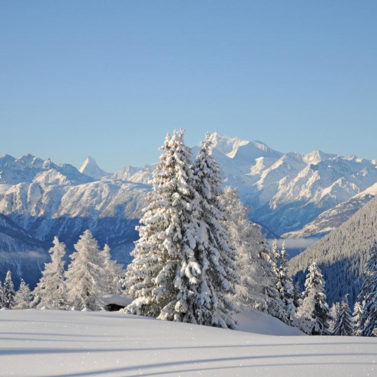 Favorite Parterre - Chalet mit 2 Schlafzimmern - 13