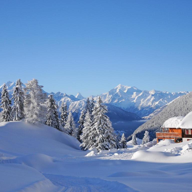 Favorite Parterre - Chalet mit 2 Schlafzimmern - 12