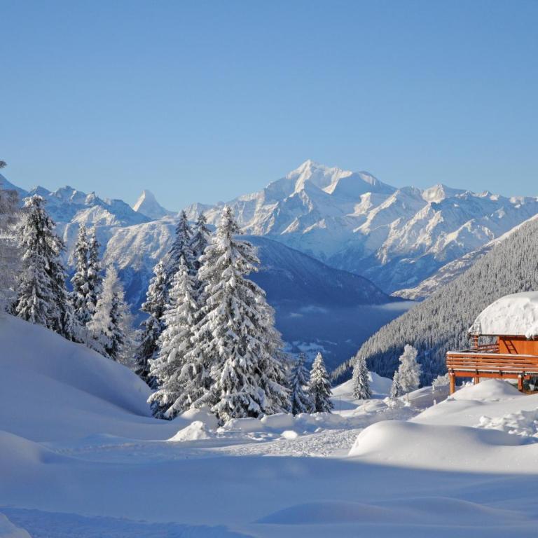 Favorite Parterre - Chalet mit 2 Schlafzimmern - 3