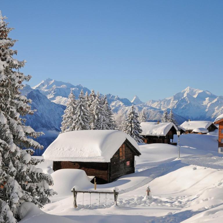 Favorite Parterre - Chalet mit 2 Schlafzimmern - 25
