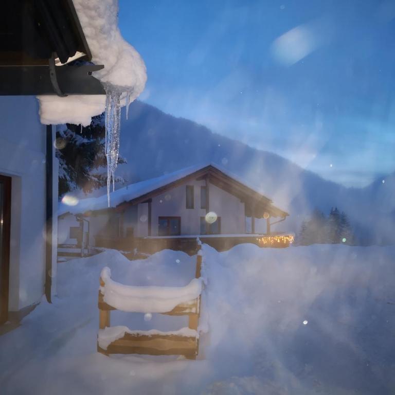 Panoramaalm - Ski in - Ski out - Apartment mit 2 Schlafzimmern - 20