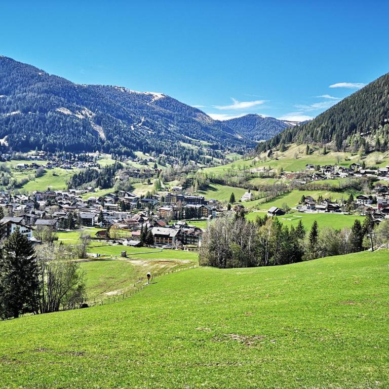 Panoramaalm - Ski in - Ski out - Apartment mit 2 Schlafzimmern - 11