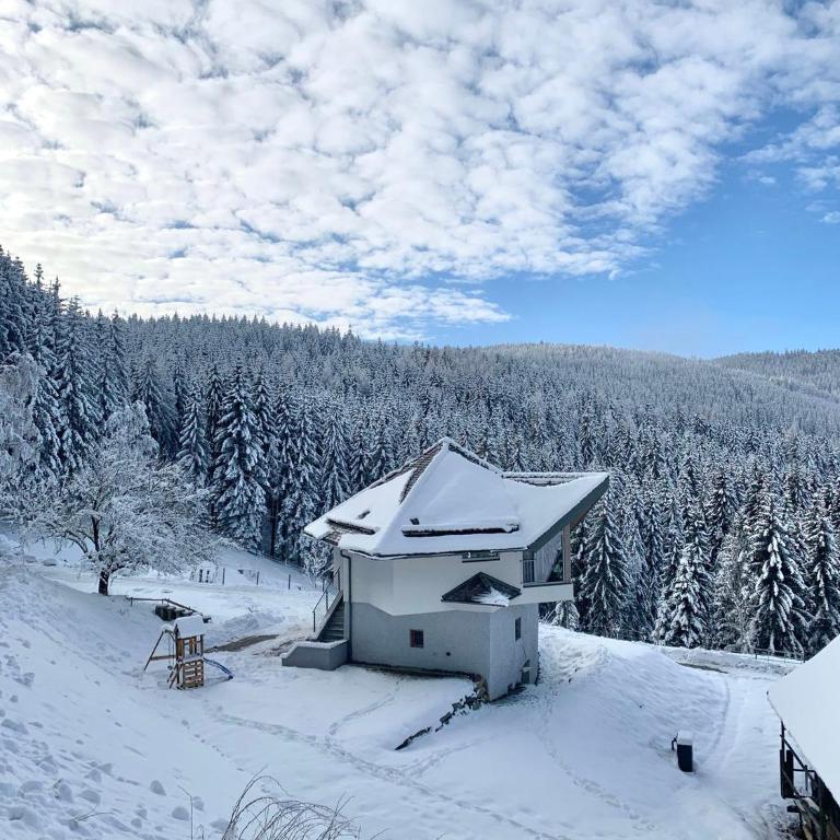 Forsthaus Gray 4 - Ferienhaus - 33