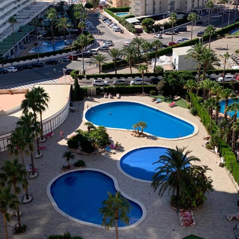 SERVICE APART LAZARO - Coral Beach - Vistas - Apartamento de 1 dormitorio - 8
