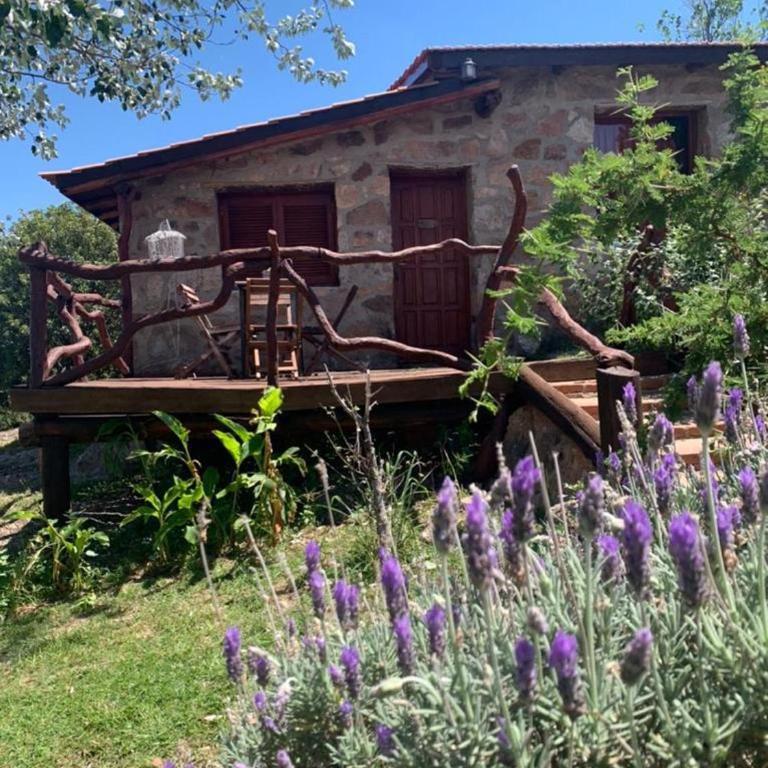 Pachamama cabañas en la montaña - Casa Unifamiliar de 2 dormitorios - 12