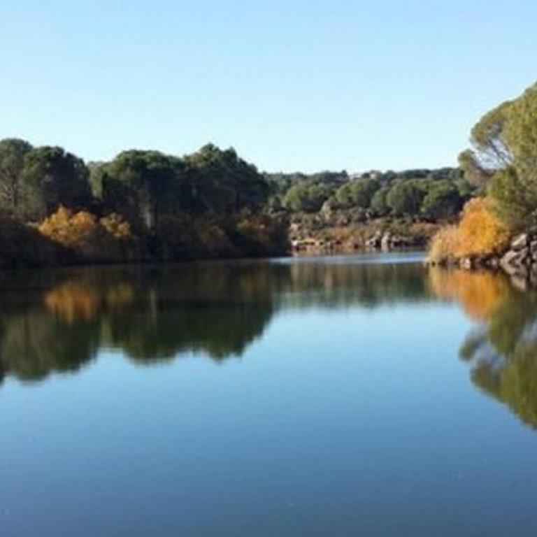 Villa ALJARAL, Espectacular,piscina,chimenea, climatización, wifi - Casa de 5 dormitorios - 64