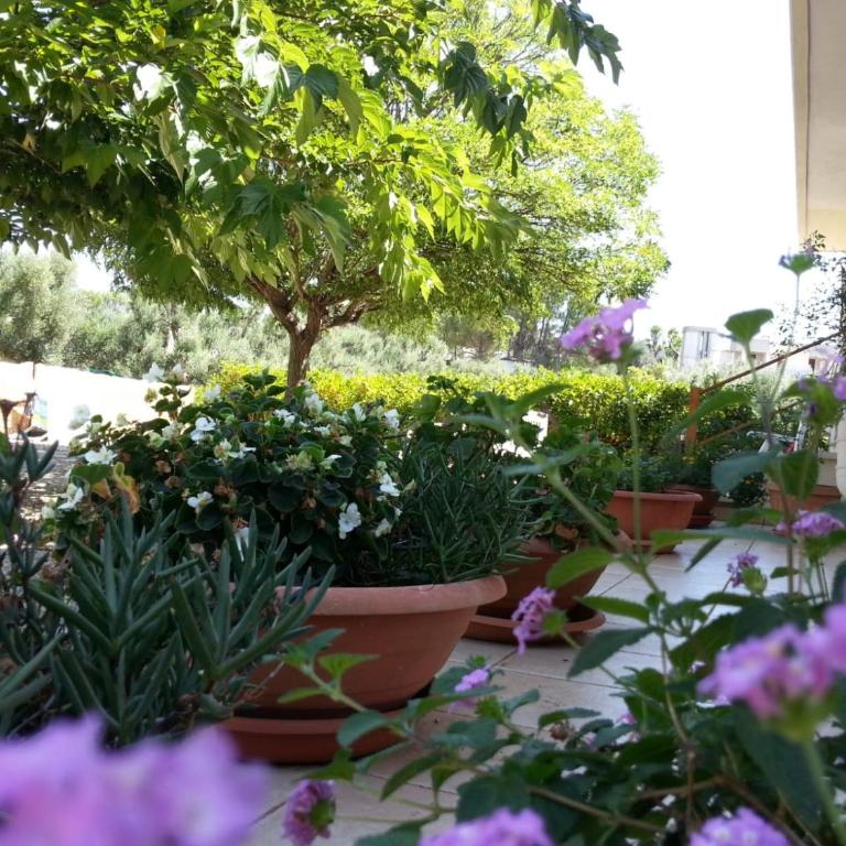 Case Vacanza Villa Bianca - Casa Vacanze - 24