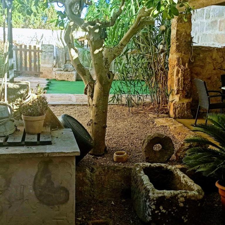 ca sa tia - Casa de 2 dormitorios - 6