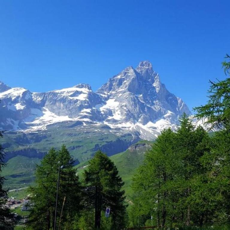 skiers house - Appartamento con 2 Camere da Letto - 6