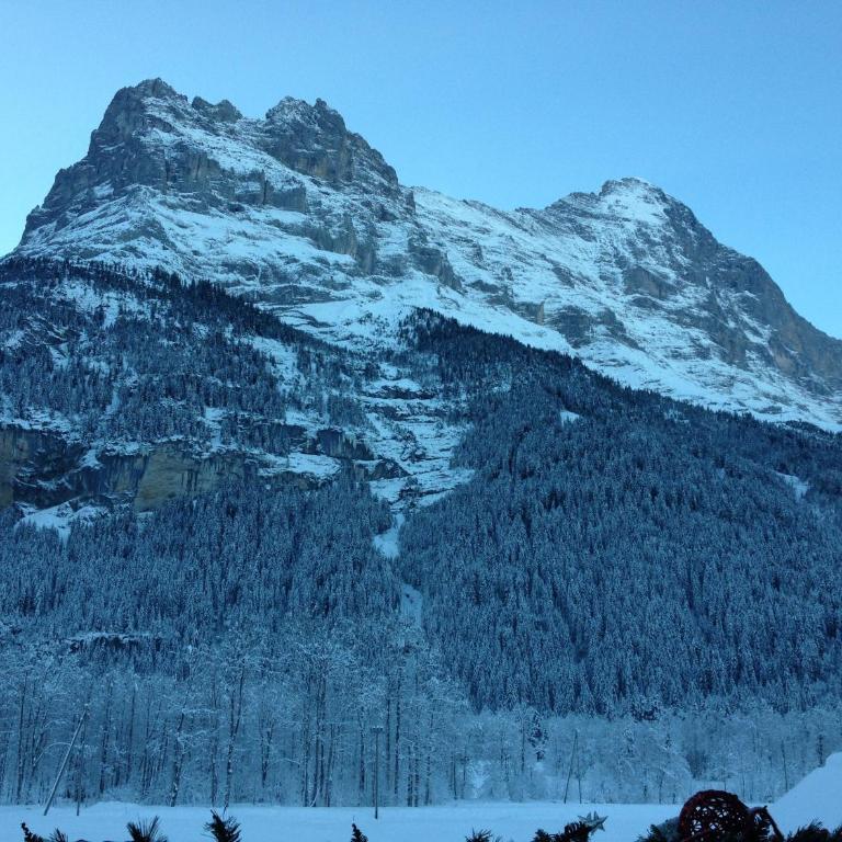 Locherboden - Apartment mit Blick auf die Berge - 25