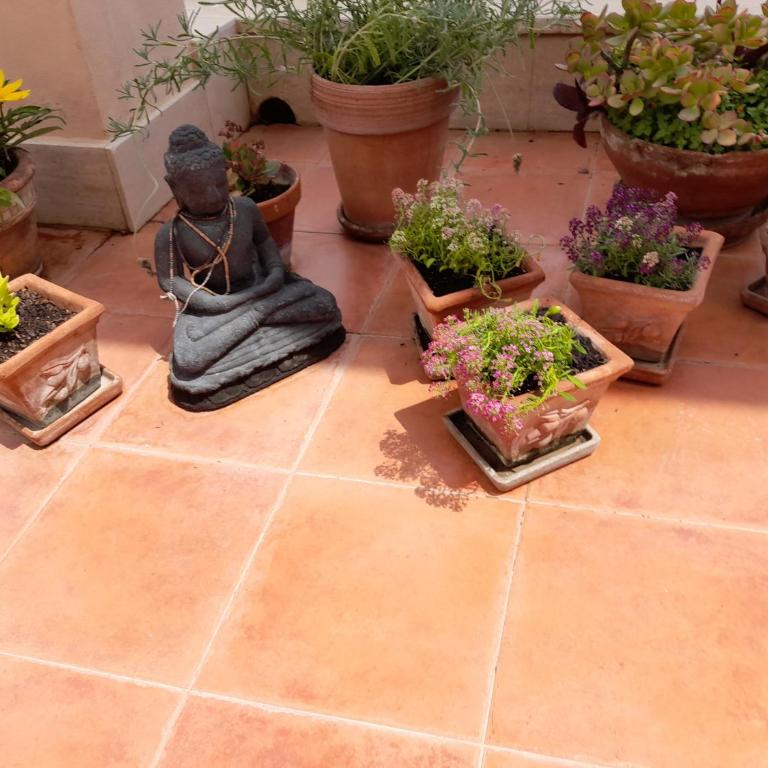Sea view Penthouse with beautiful Terrace - Casa Verdi Jayanti - Appartamento con 1 Camera da Letto - 4