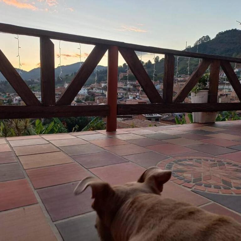 Loft Terraza Jericó - Apartamento de 1 dormitorio - 5