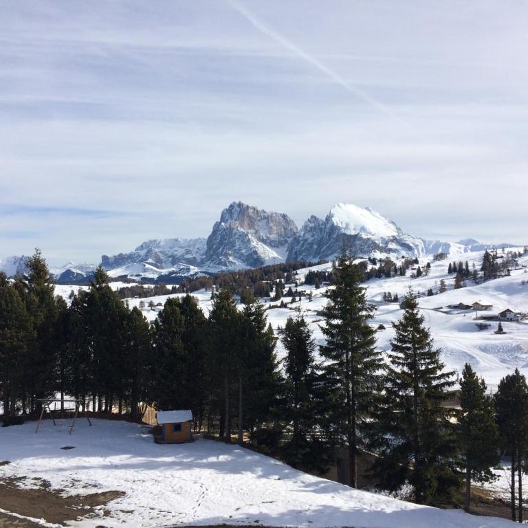 Appartamento Alpe di Siusi - Monolocale - 22