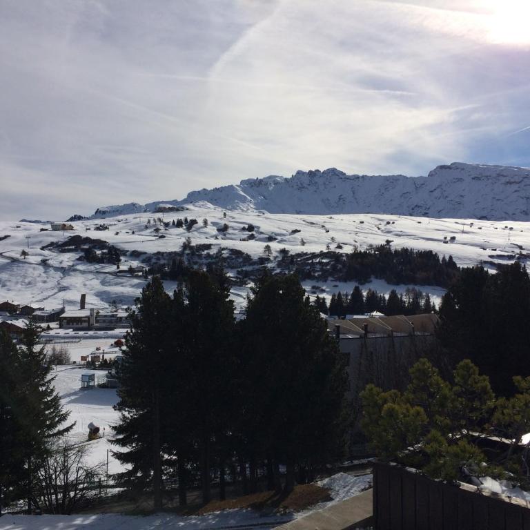 Appartamento Alpe di Siusi - Monolocale - 23