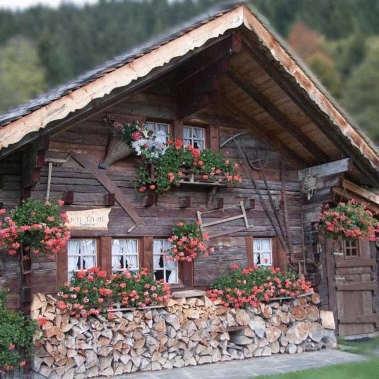 Le P'ti Tzi-Mé - Chalet (2 Adultes et 2 Enfants) - 1